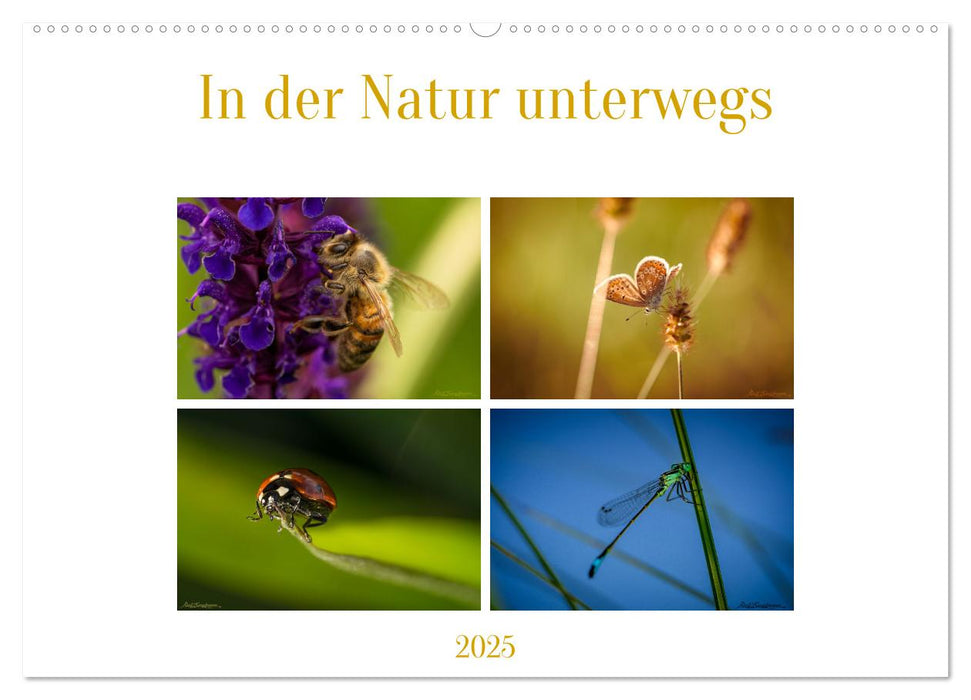 In der Natur unterwegs (CALVENDO Wandkalender 2025)