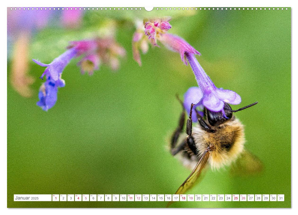 In der Natur unterwegs (CALVENDO Wandkalender 2025)