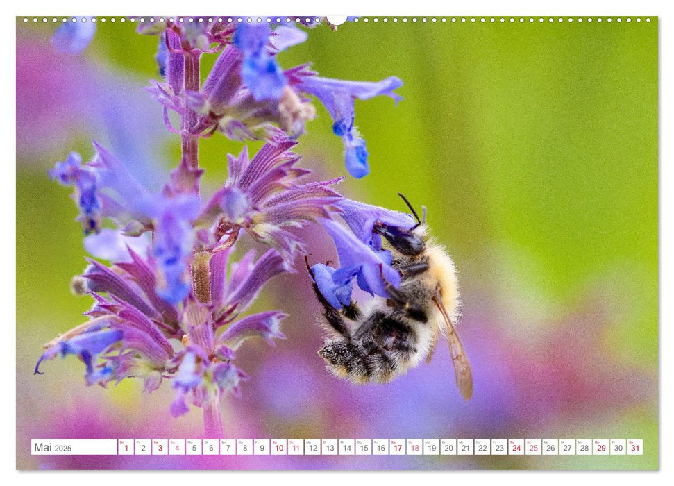 In der Natur unterwegs (CALVENDO Wandkalender 2025)