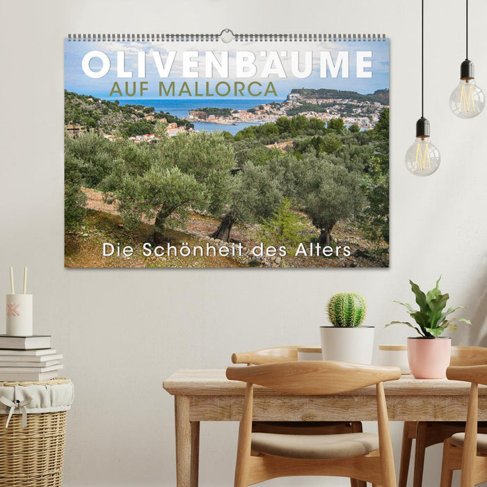 Olivenbäume auf Mallorca - Die Schönheit des Alters (CALVENDO Wandkalender 2025)