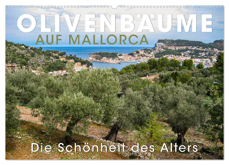 Olivenbäume auf Mallorca - Die Schönheit des Alters (CALVENDO Wandkalender 2025)