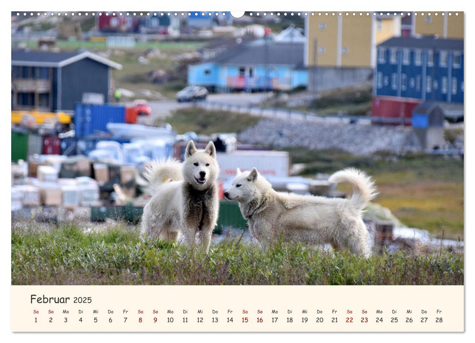 Grönland Faszinierend atemberaubend grandios (CALVENDO Wandkalender 2025)