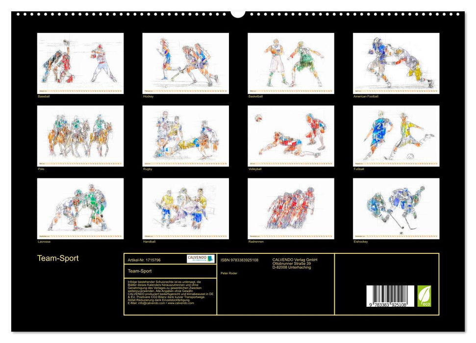 Team-Sport (CALVENDO Premium Wandkalender 2025)