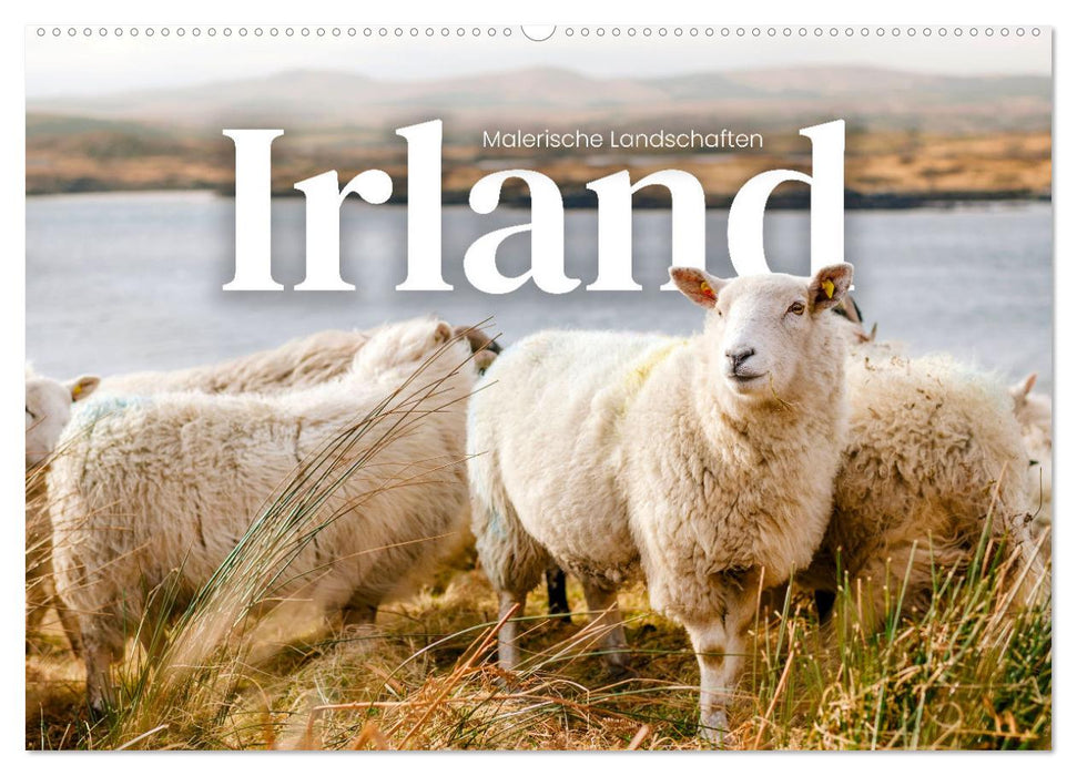 Irland - Malerische Landschaften (CALVENDO Wandkalender 2025)