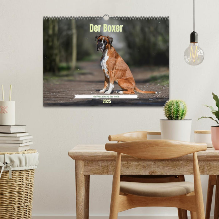 Der Boxer, der beste Hund der Welt (CALVENDO Wandkalender 2025)