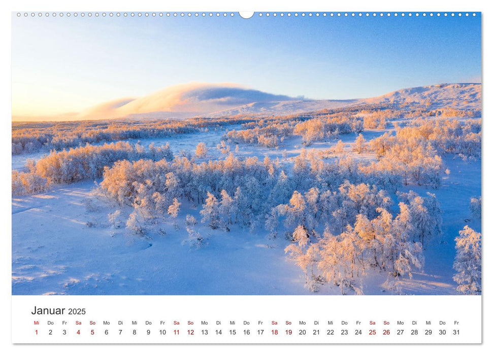 Eine Reise durch die Wälder dieser Welt (CALVENDO Premium Wandkalender 2025)