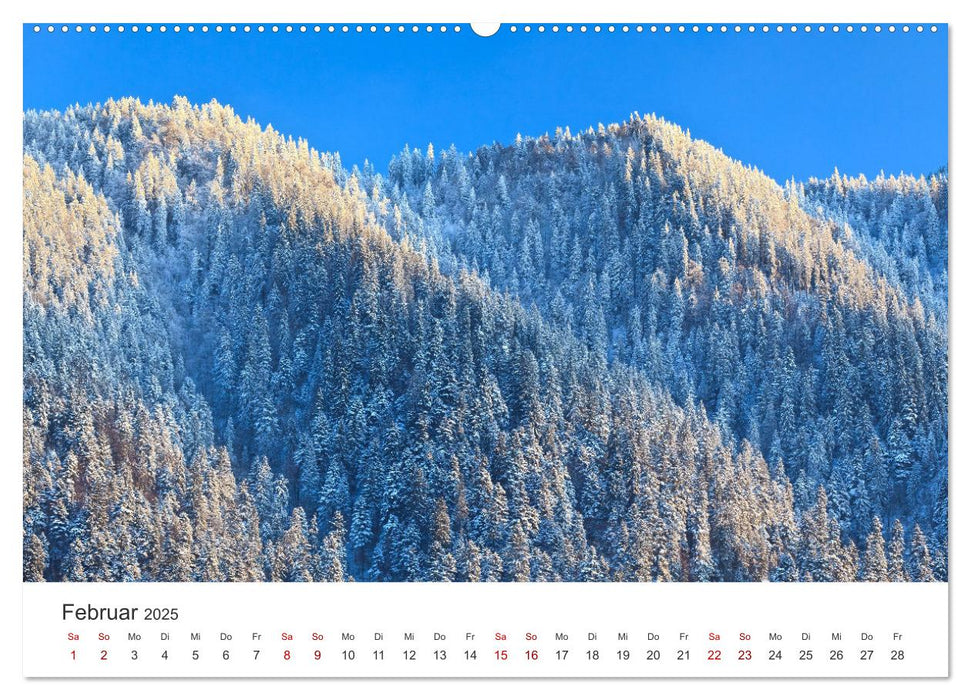 Eine Reise durch die Wälder dieser Welt (CALVENDO Premium Wandkalender 2025)