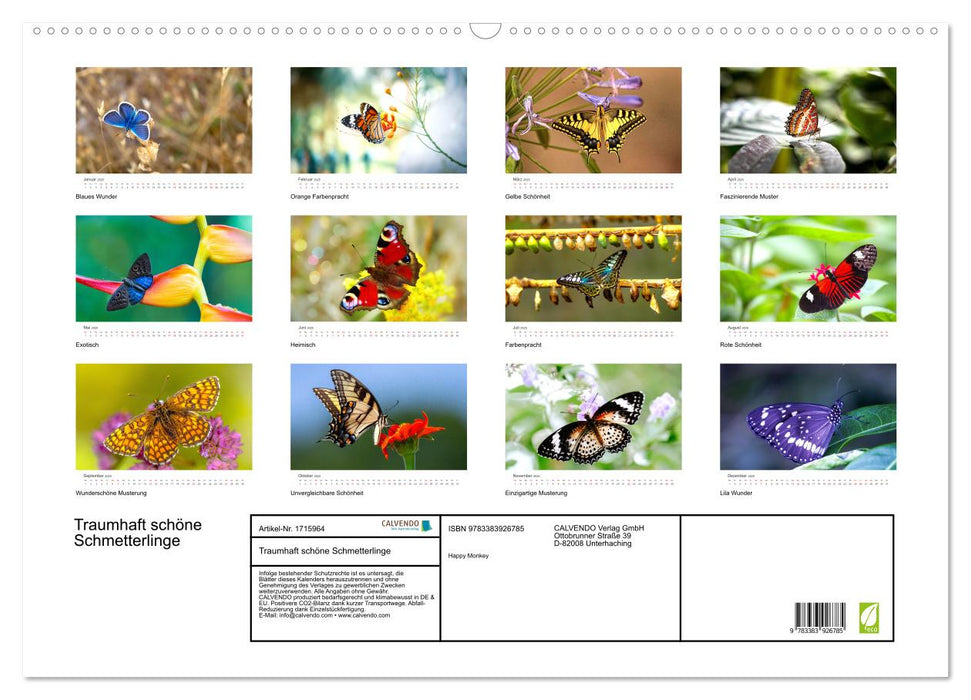 Traumhaft schöne Schmetterlinge (CALVENDO Wandkalender 2025)