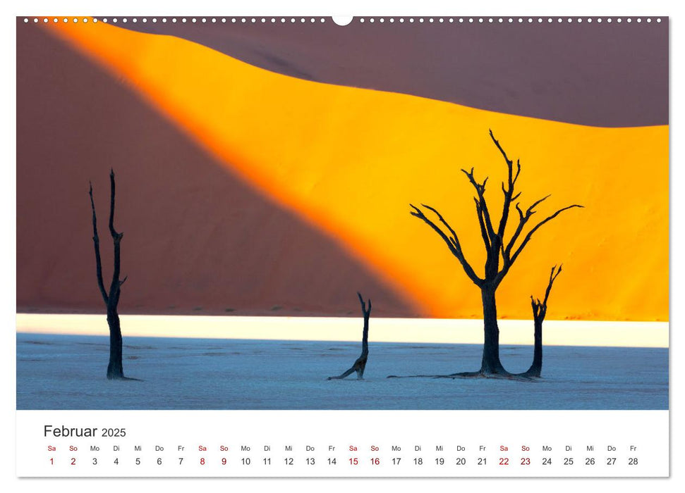 Deadvlei - Ein einzigartiges Naturwunder. (CALVENDO Premium Wandkalender 2025)