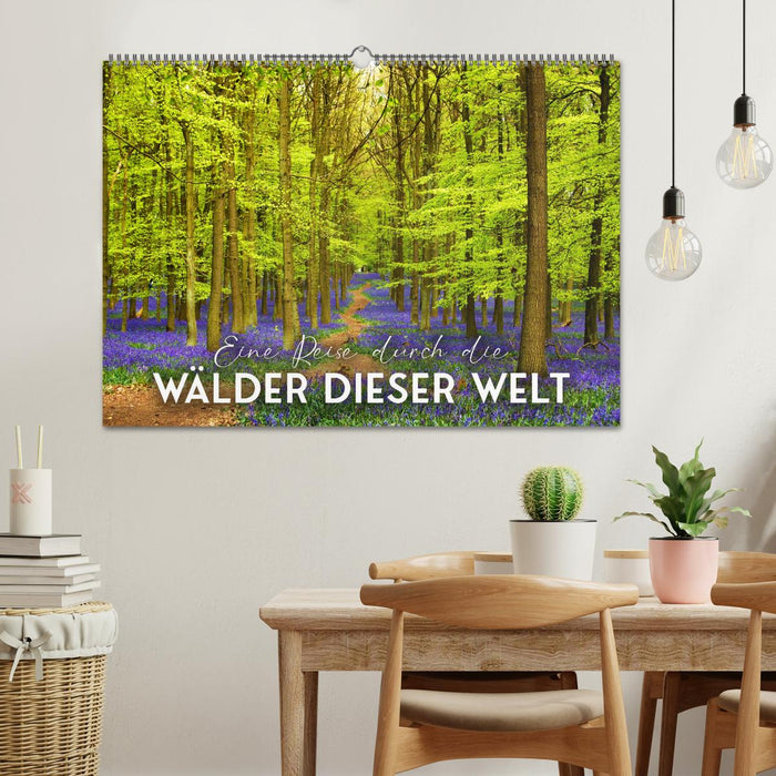 Eine Reise durch die Wälder dieser Welt (CALVENDO Wandkalender 2025)