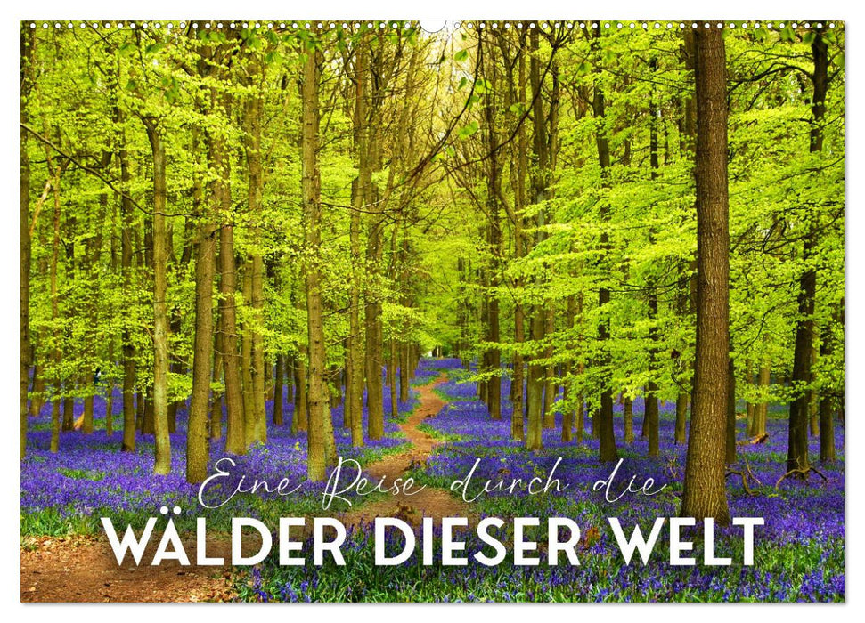 Eine Reise durch die Wälder dieser Welt (CALVENDO Wandkalender 2025)