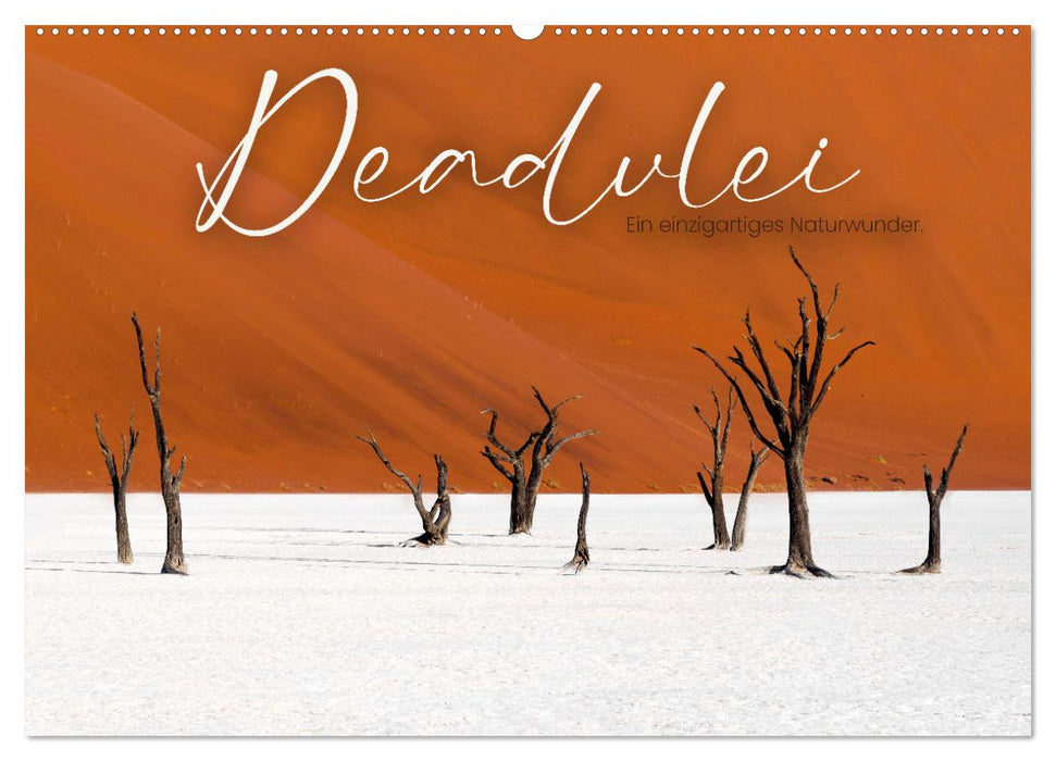 Deadvlei - Ein einzigartiges Naturwunder. (CALVENDO Wandkalender 2025)