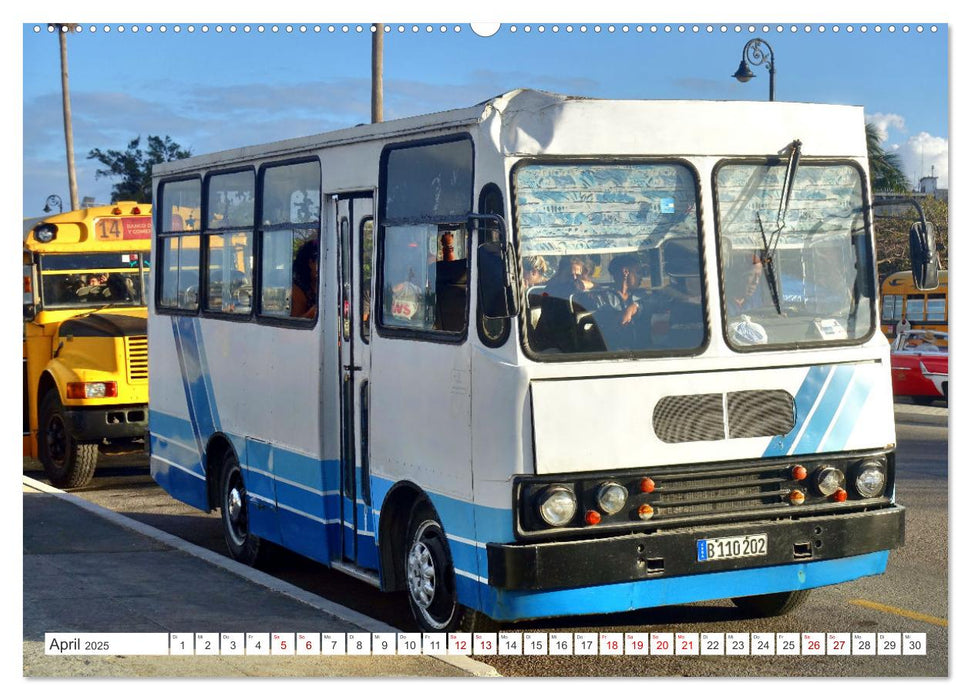 Autobus Diana - Kubas ganzer Stolz (CALVENDO Wandkalender 2025)