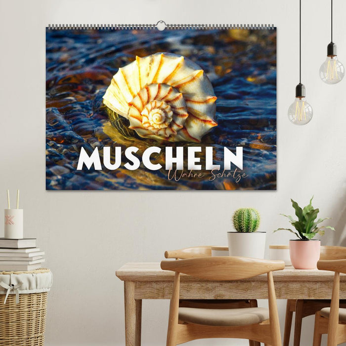 Muscheln - Wahre Schätze (CALVENDO Wandkalender 2025)