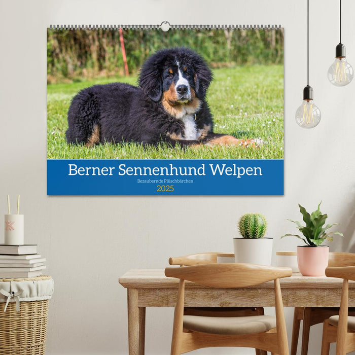 Berner Sennenhund Welpen - Bezaubernde Plüschbärchen (CALVENDO Wandkalender 2025)