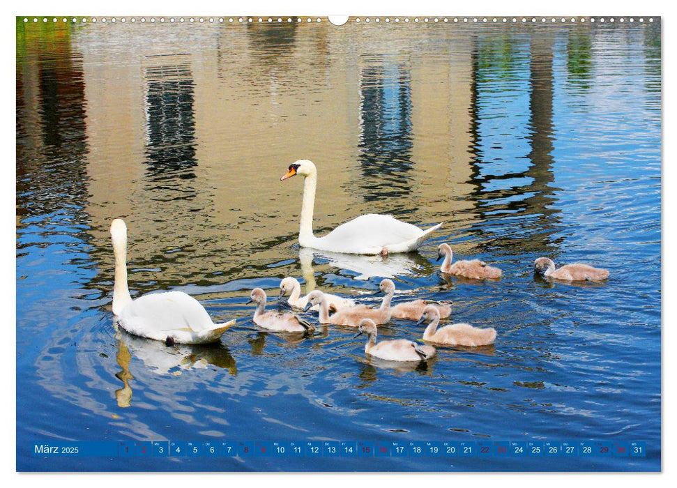 Malerischer Schlosspark Sanssouci (CALVENDO Premium Wandkalender 2025)