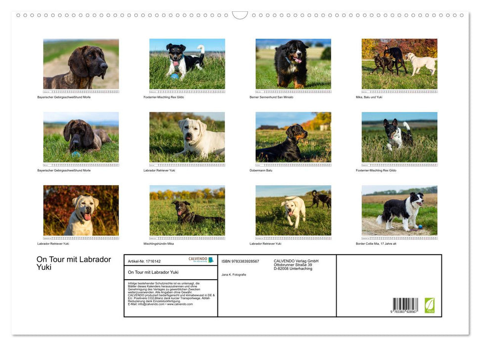 On Tour mit Labrador Yuki (CALVENDO Wandkalender 2025)