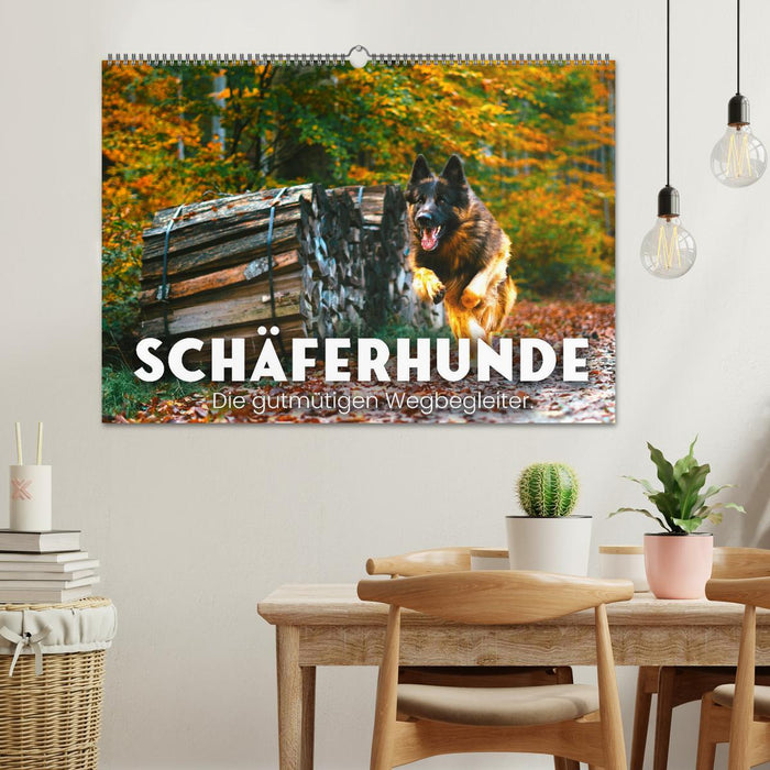 Schäferhunde - Die gutmütigen Wegbegleiter. (CALVENDO Wandkalender 2025)