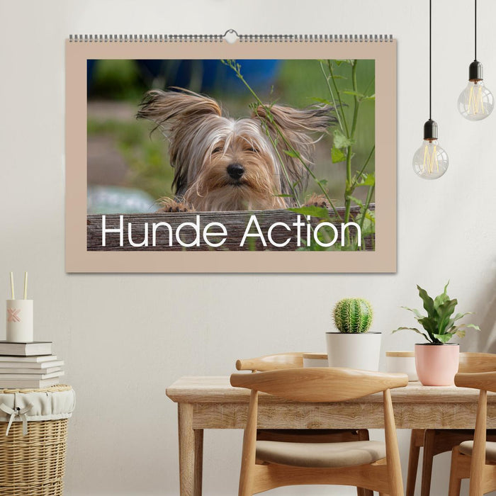 Hunde Action (CALVENDO Wandkalender 2025)