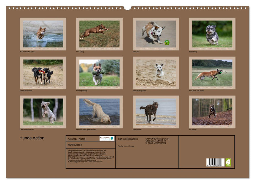 Hunde Action (CALVENDO Wandkalender 2025)