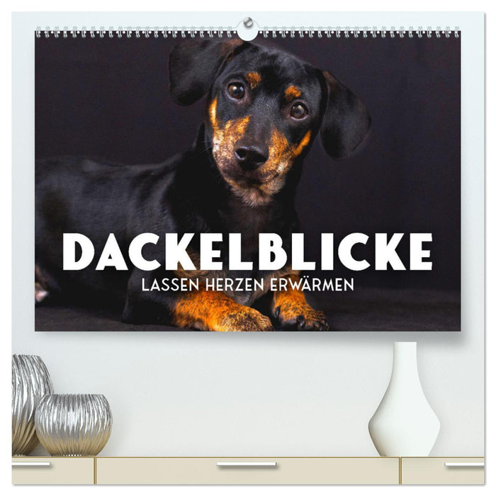 Dackelblicke - Lassen Herzen erwärmen. (CALVENDO Premium Wandkalender 2025)