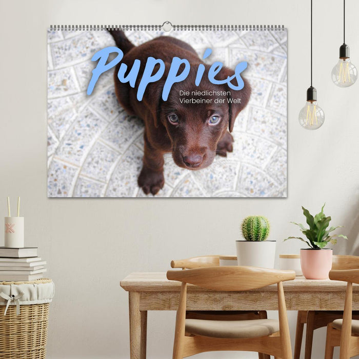 Puppies - Die niedlichsten Vierbeiner der Welt. (CALVENDO Wandkalender 2025)