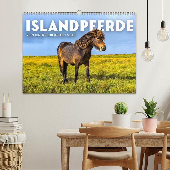 Islandpferde - Von ihrer schönsten Seite (CALVENDO Wandkalender 2025)