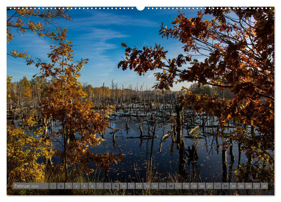 Hohes Moor Oldendorf (CALVENDO Wandkalender 2025)