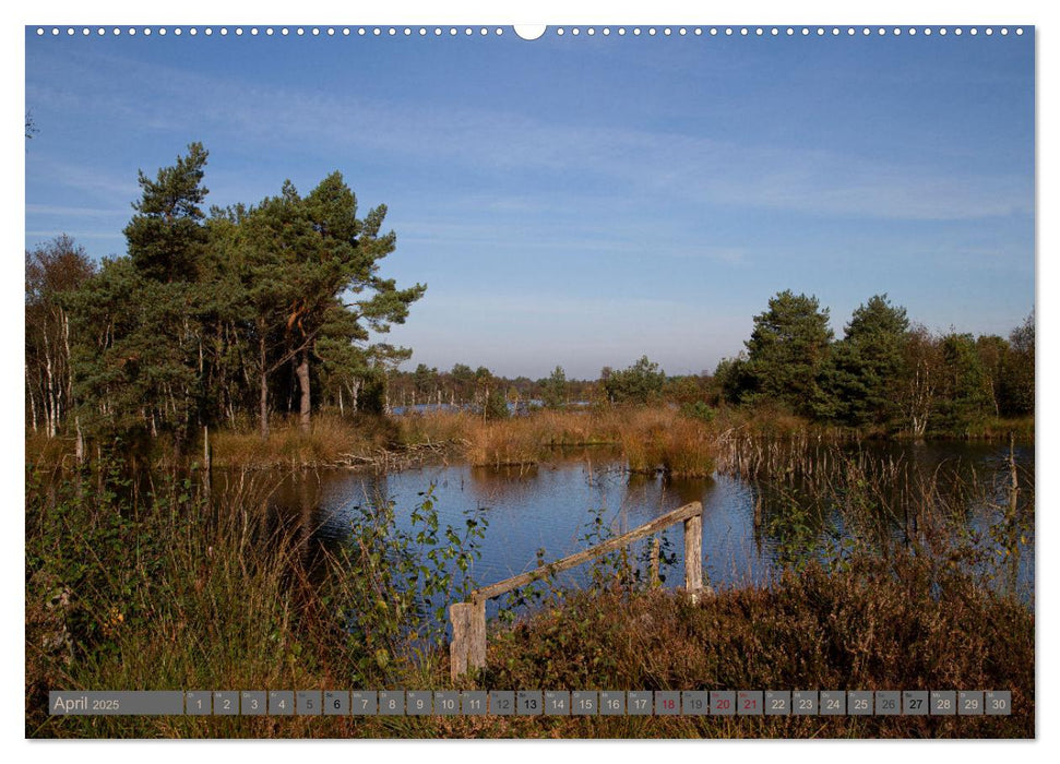 Hohes Moor Oldendorf (CALVENDO Wandkalender 2025)