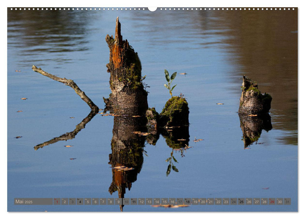 Hohes Moor Oldendorf (CALVENDO Wandkalender 2025)