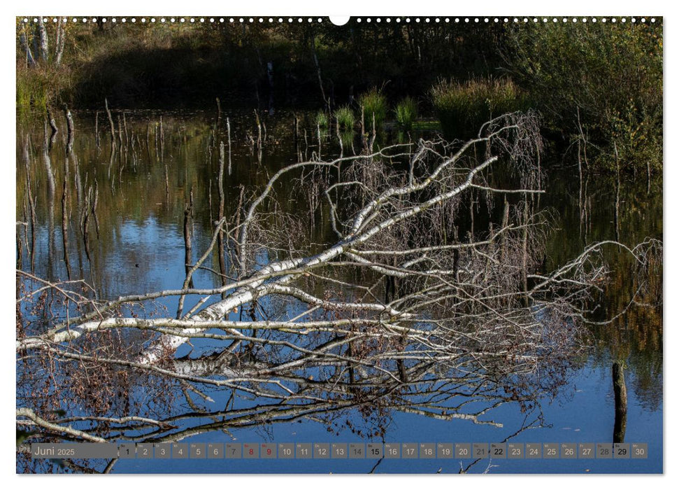 Hohes Moor Oldendorf (CALVENDO Wandkalender 2025)