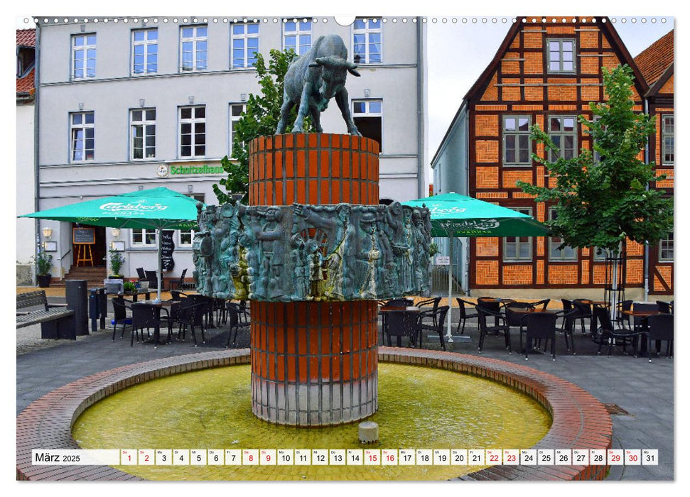 SCHWERIN, die wunderschöne Landeshauptstadt von Mecklenburg-Vorpommern (CALVENDO Wandkalender 2025)