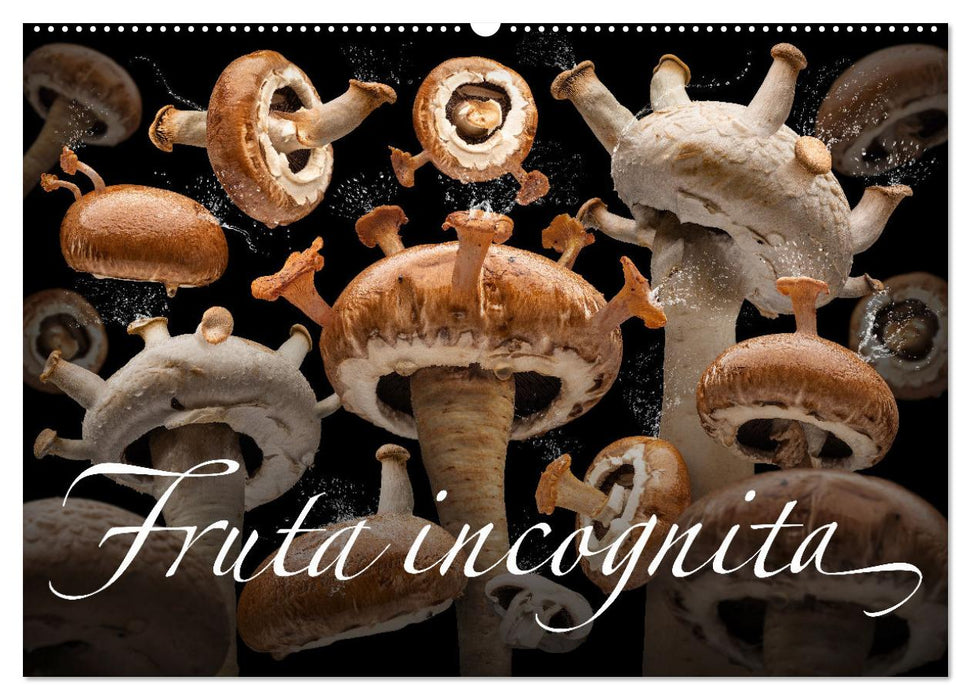 Fruta incognita - Die wundersame Welt des Fotografen Olaf Bruhn (CALVENDO Wandkalender 2025)