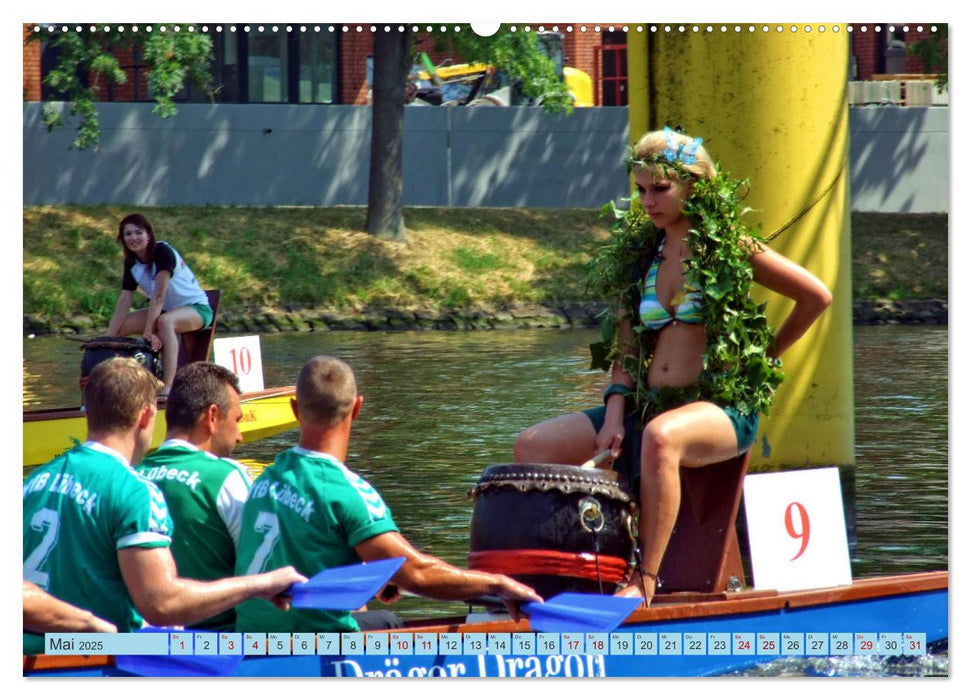 Lübecker Drachenboot Festival – Das sportliche Event im Lübecker Klughafen (CALVENDO Premium Wandkalender 2025)