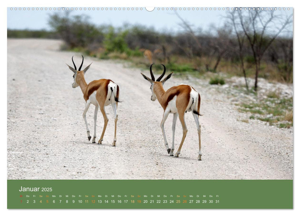 Roadtrip in Namibia (CALVENDO Wandkalender 2025)