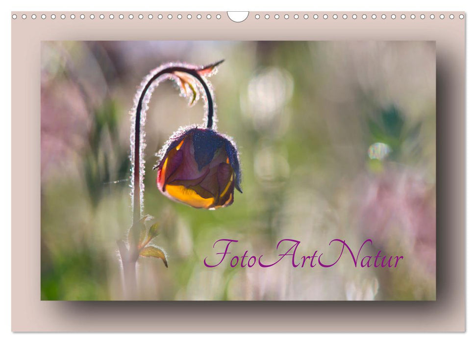 Foto-Art-Natur (CALVENDO Wandkalender 2025)