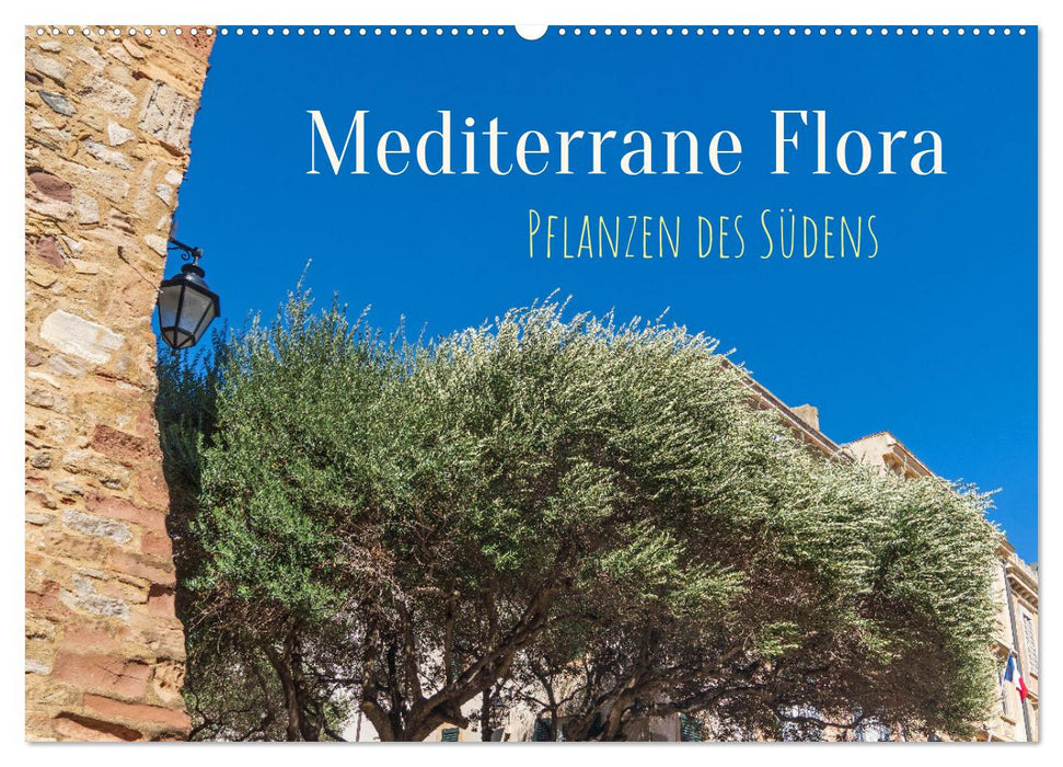 Mediterrane Flora - Pflanzen des Südens (CALVENDO Wandkalender 2025)