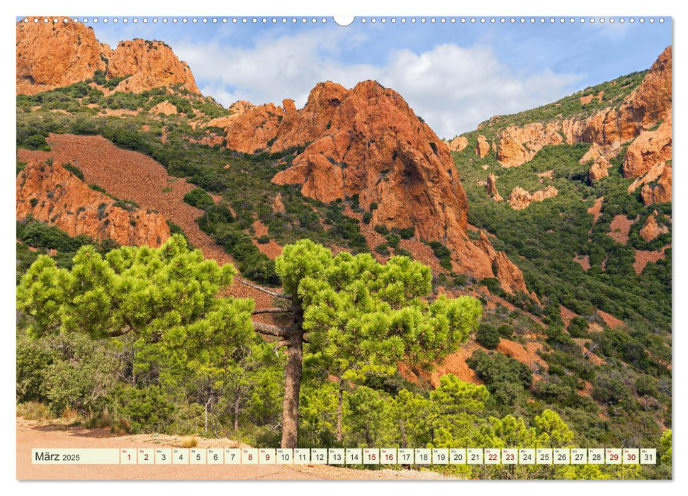 Mediterrane Flora - Pflanzen des Südens (CALVENDO Wandkalender 2025)