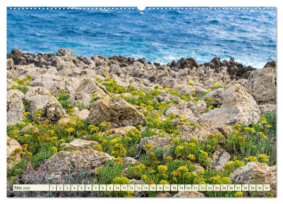 Mediterrane Flora - Pflanzen des Südens (CALVENDO Wandkalender 2025)