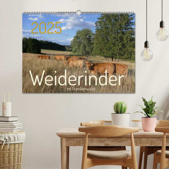 Weiderinder im Frankenwald (CALVENDO Wandkalender 2025)