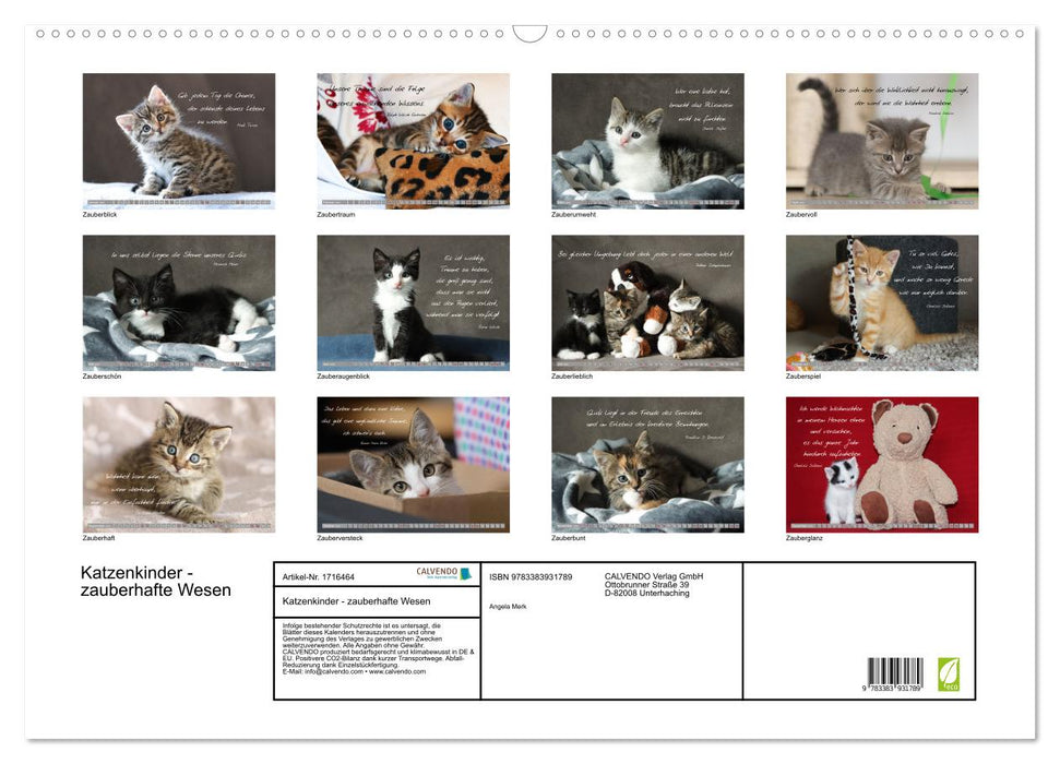 Katzenkinder - zauberhafte Wesen (CALVENDO Wandkalender 2025)