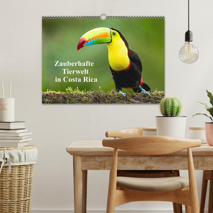 Zauberhaft Tierwelt in Costa Rica (CALVENDO Wandkalender 2025)