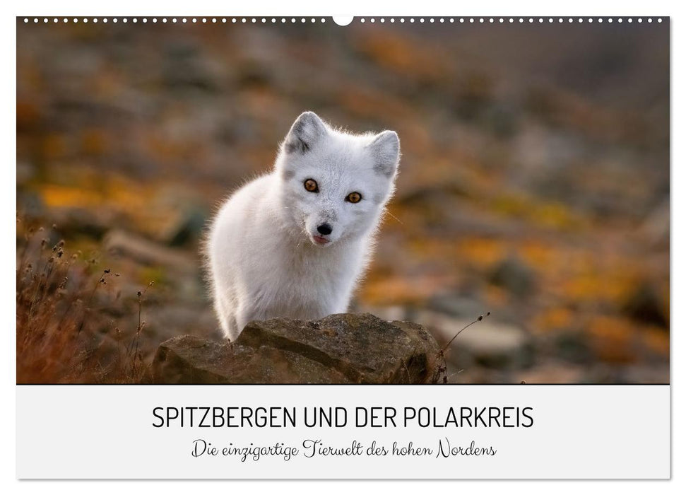 Spitzbergen und der Polarkreis (CALVENDO Wandkalender 2025)