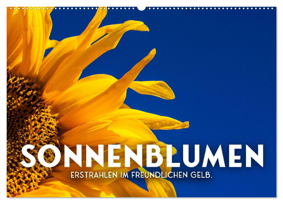 Sonnenblumen - Erstrahlen im freundlichen Gelb. (CALVENDO Wandkalender 2025)