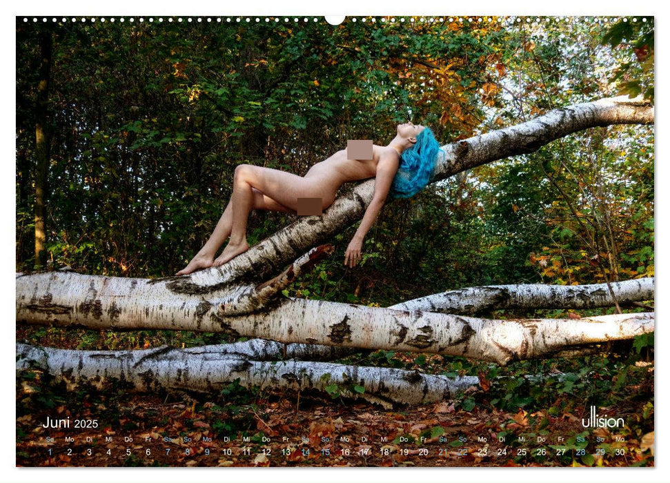 Akt in der Natur - Chaos Isi (CALVENDO Premium Wandkalender 2025)