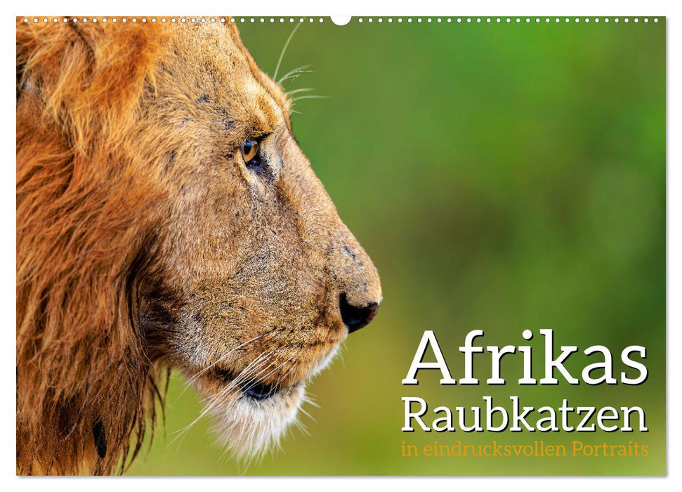 Afrikas Raubkatzen in eindrucksvollen Portraits (CALVENDO Wandkalender 2025)