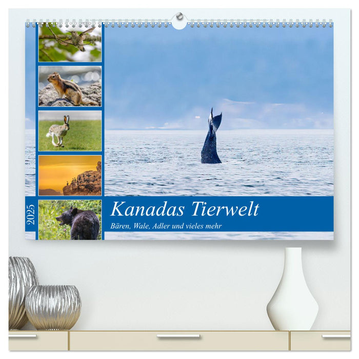 Kanadas Tierwelt - Bären, Wale und vieles mehr (CALVENDO Premium Wandkalender 2025)