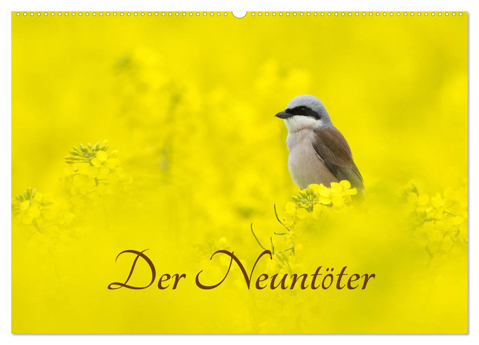 Der Neuntöter (CALVENDO Wandkalender 2025)