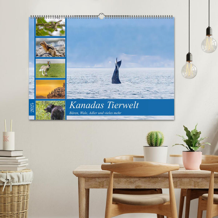 Kanadas Tierwelt - Bären, Wale und vieles mehr (CALVENDO Wandkalender 2025)