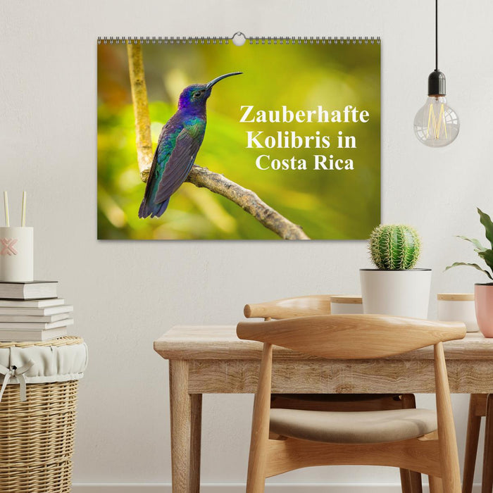 Zauberhafte Kolibris in Costa Rica (CALVENDO Wandkalender 2025)